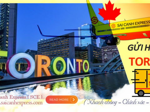 Gui hang di Toronto gia re
