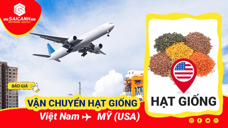 Vận chuyển hạt giống đi Mỹ