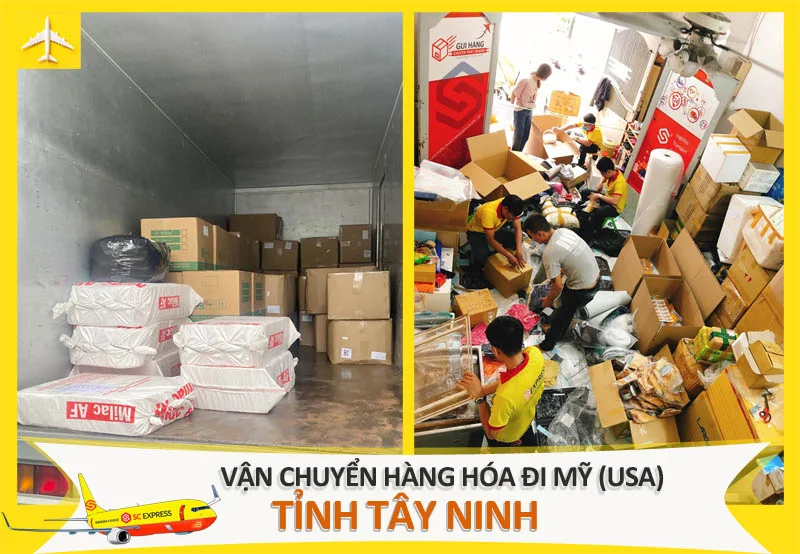 Vận chuyển hàng hóa đi Mỹ tại Tây Ninh