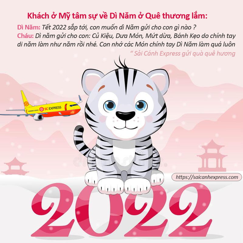 Vận chuyển hàng tết đi Mỹ năm 2022