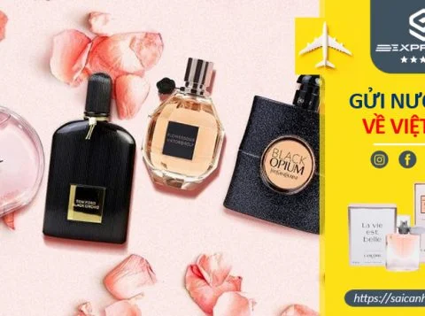 Gửi hàng nước hoa về Việt Nam