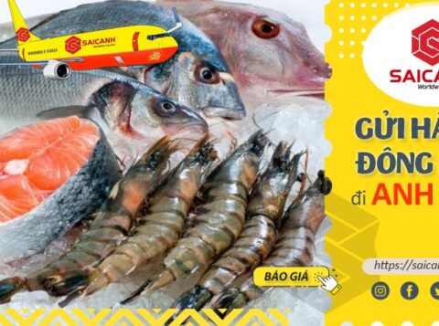 Vận chuyển hàng Đông Lạnh đi Anh