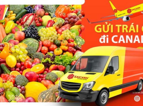 Chuyển phát nhanh Trái Cây đi Canada