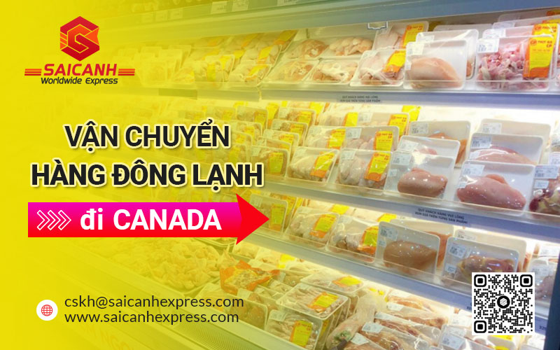 Vận chuyển hàng đông lạnh đi Canada