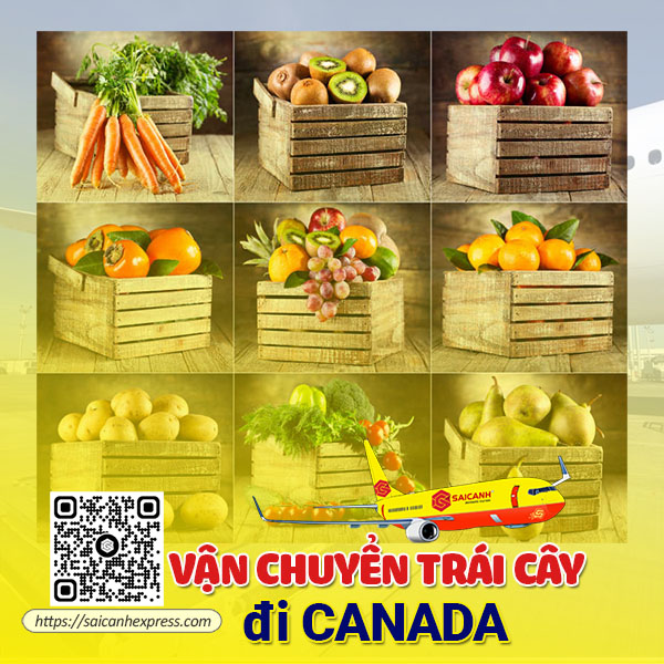Vận chuyển trái cây đi Canada
