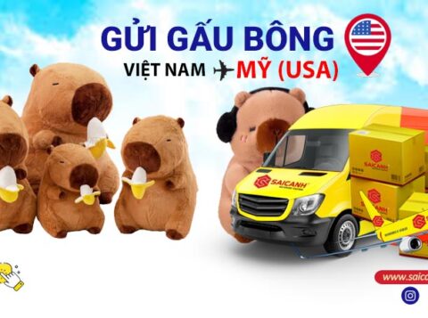 Gửi gấu bông đi Mỹ (USA)