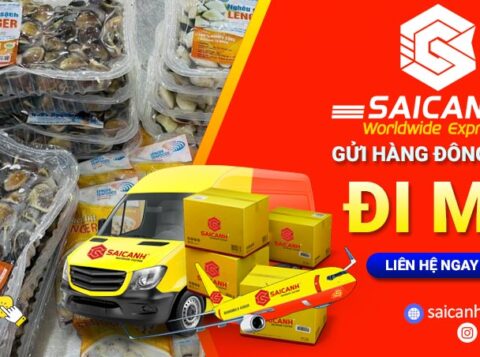 Gửi hàng đông lạnh đi Mỹ