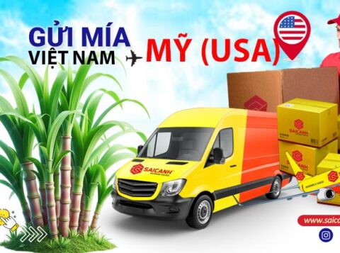 Gửi mía đi Mỹ