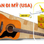 Gửi đàn đi Mỹ