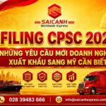 Quy định eFiling CPSC Hoa Kỳ