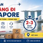 Thời gian gửi hàng đi Singapore dự kiến chỉ từ 2-3 ngày. Vì sao một số đơn hàng vẫn bị chậm?