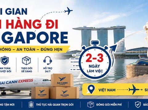 Thời gian gửi hàng đi Singapore dự kiến chỉ từ 2-3 ngày. Vì sao một số đơn hàng vẫn bị chậm?