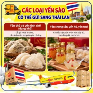Các loại yến có thể gửi sang Thái Lan