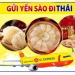 Gửi yến sào đi Thái Lan